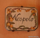 Nespolo - Agriturismo Monteverde