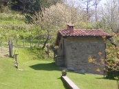 Antico Essicatoio Castagne - Bauernhof Casale Camalda