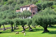 Romantica ( piano elevato) - Agritourisme Villaggio Rurale San Martino