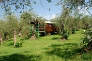 Rigogolo - Bauernhof Azienda Agricola Della Mezzaluna