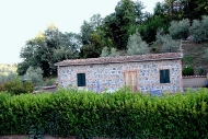 Origano - Bauernhof Casale Le Crete