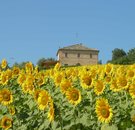 Lovely Villa Italia - Agritourisme Villa storica immersa nell'incantevole paesaggio maceratese