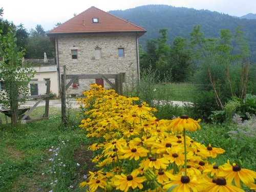 Ortoalpino - Fattoria ecosostenibile nelle Alpi - Borgo Valbelluna