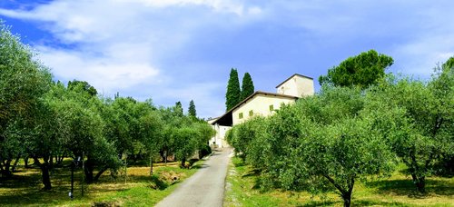 Azienda Agricola Marchesi - Lastra a Signa