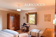 Albicocca - Agritourisme La Pineta