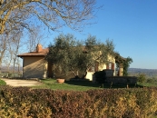 L'Olivo - Bauernhof Terre di Musignano
