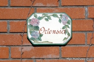 Ortensia - Agriturismo Monteverde