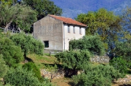Colonica - Agriturismo Villaggio Rurale San Martino