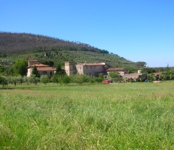 Villa Buieri - Calci
