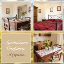 IL CIPRESSO (Piano Terra) - Agritourisme Carpineto