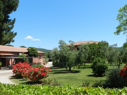 Fusini - Magliano in Toscana