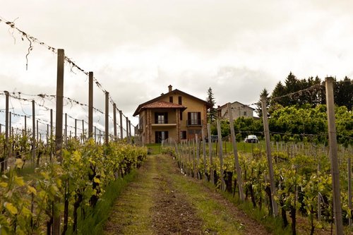 Agriturismo Piedmont - Farmhouse and agritourism in Piemonte!