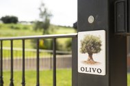 Olivo - Bauernhof Le Bucoliche
