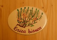 Erica bianca - Bauernhof Grammelot