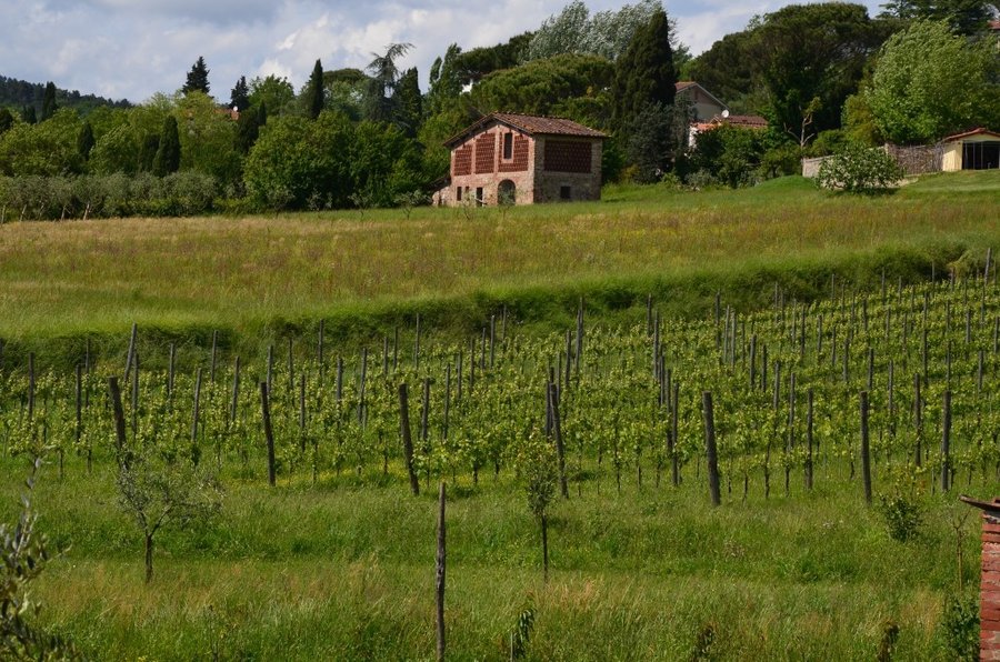Agriturismo Al Podere di Rosa Lucca - Sant'Alessio (Lucca) - Tuscany