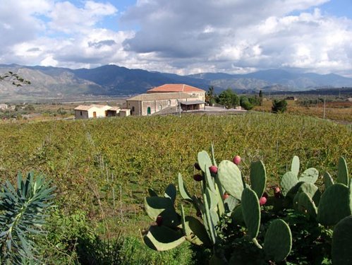 Azienda Agrituristica Etna Wine - Castiglione di Sicilia