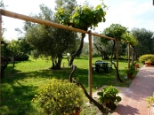 Casa di Nanni - Agritourisme Ulivino