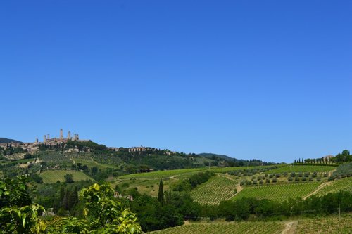 Agriturismo La Fidanza - Montenidoli - San Gimignano