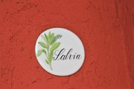Salvia - Agriturismo La Bella Vite