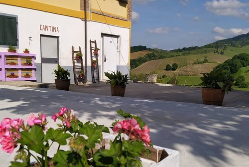 Bauernhof Cascina Angelina - Casteggio (Pavia)