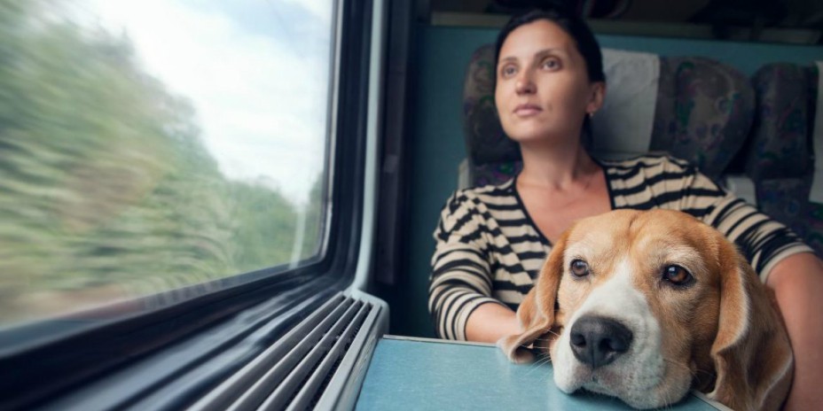 Viaggiare con gli animali in treno
